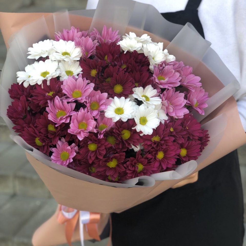 Яркие блики